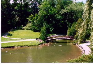 bridge over Wilket Creek