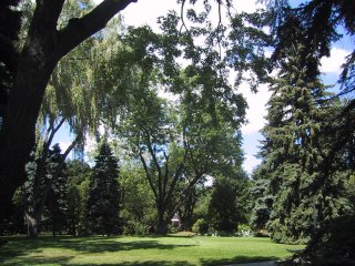 (Trees and park)