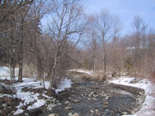 (Wilket Creek in winter)