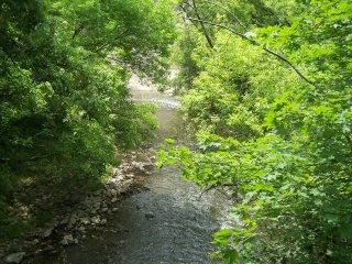 (Wilket Creek)